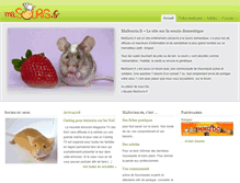 Tablet Screenshot of masouris.fr